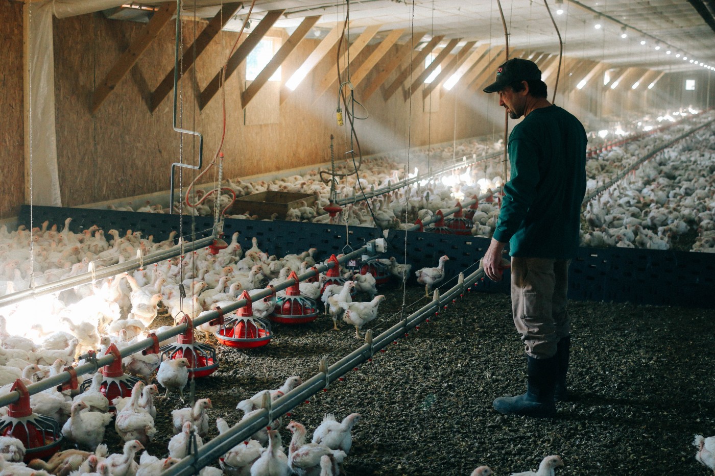 Perdue Farms IMG_0231 (2) Concordia